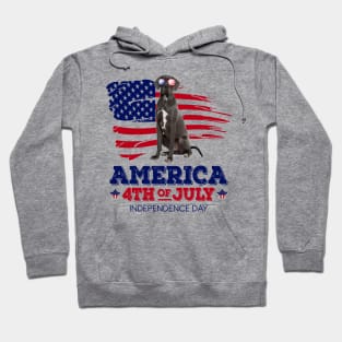 Great Dane Flag USA - America 4th Of July Independence Day Hoodie